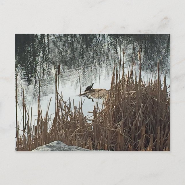 Winter Solstice Vykort (Framsida)