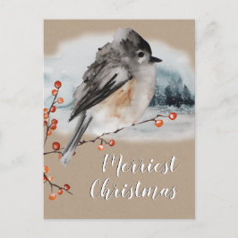 Winter Sparrow Ilex Berries Gren Woodland Scene Vykort
