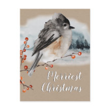 Winter Sparrow Ilex Berries Gren Woodland Scene