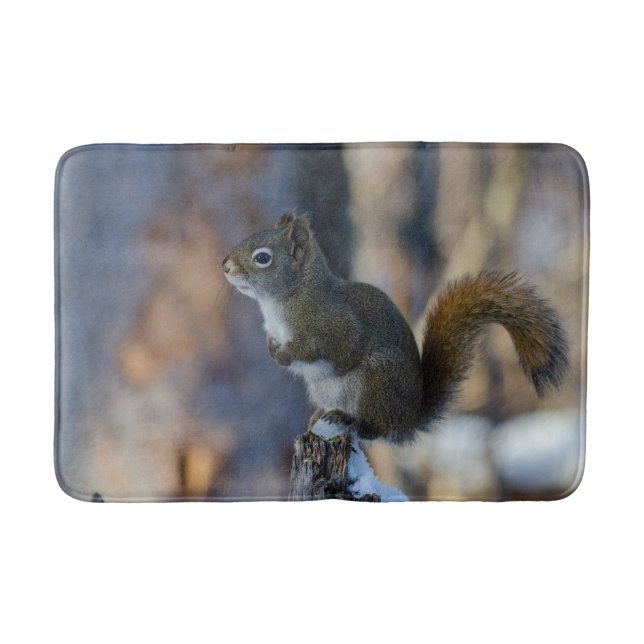 Winter Squirrel, Brown Animal, kanadensiskt fotogr Badrumsmatta (Framsidan)
