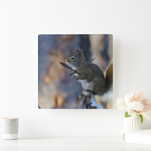 Winter Squirrel, Brown Animal, kanadensiskt fotogr Fyrkantig Klocka