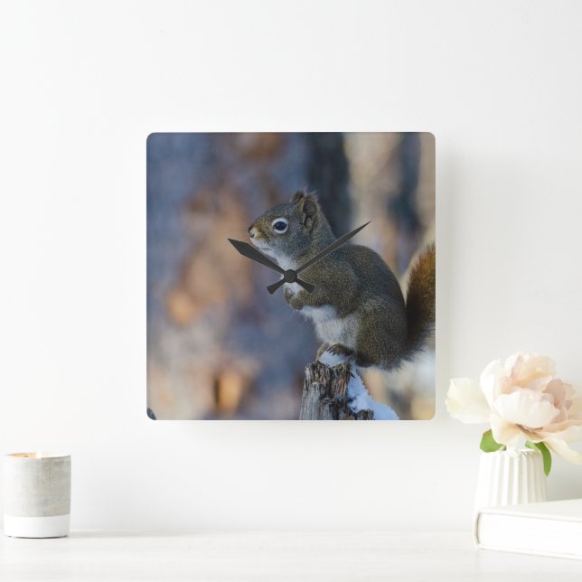 Winter Squirrel, Brown Animal, kanadensiskt fotogr Fyrkantig Klocka (Hem)