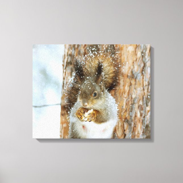 Winter Squirrel Canvastryck (Framsida)