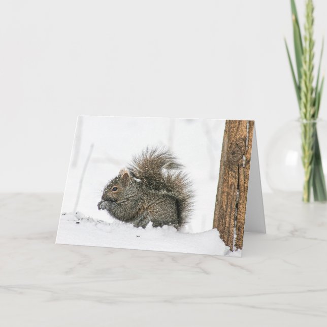 Winter Squirrel Notecard Kort (Framsida)