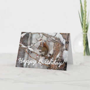 Winter Squirrel, Snö & Red Berries Julafton Design Helgkort