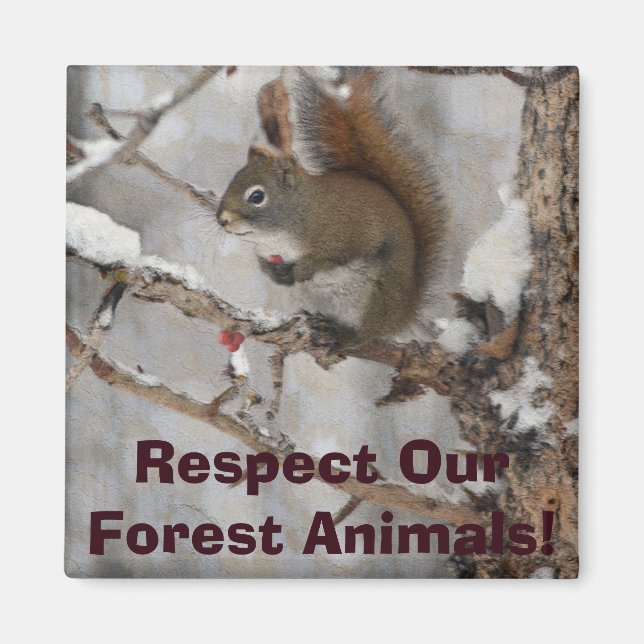 Winter Squirrel, Snö & Red Berries Julafton Design Magnet (Framsidan)