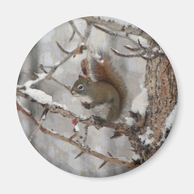 Winter Squirrel, Snö & Red Berries Julafton Design Magnet (Framsidan)