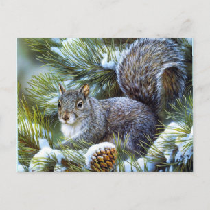 Winter Squirrel Vykort
