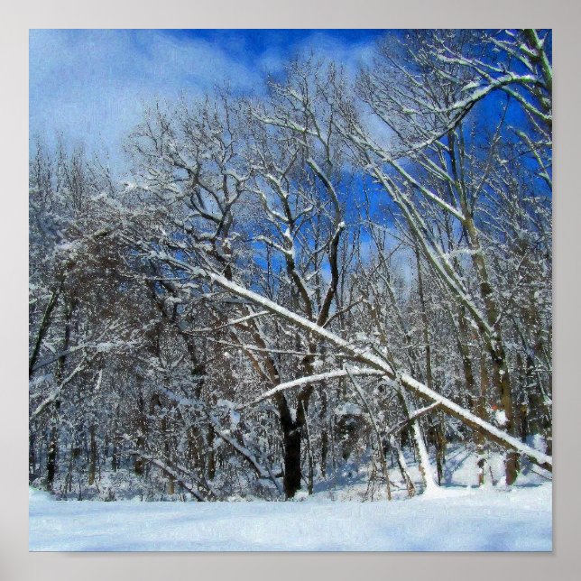 Winter Storm Oil Poster (Framsidan)