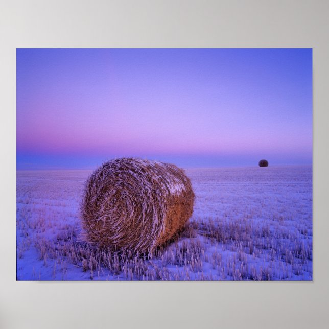 Winter Straw Bales nära Cartwright North Poster (Framsidan)