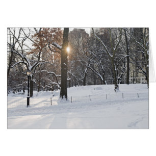 Winter Sunlight Central Park Hälsningskort
