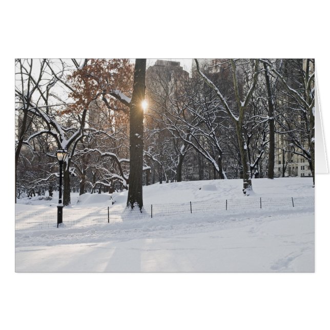 Winter Sunlight Central Park Hälsningskort (Framsidan Horizontal)