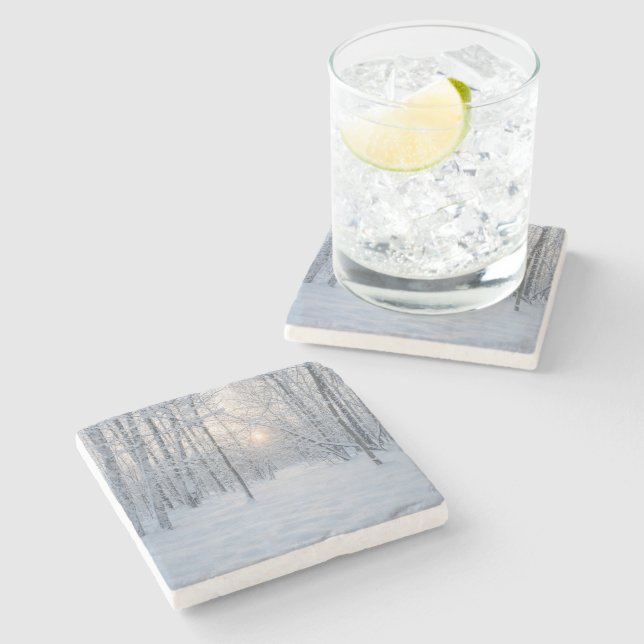 Winter Sunlight in Quiet Birch Forest Stenunderlägg (Sidan)