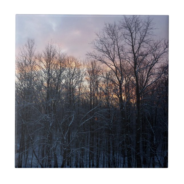 Winter Sunrise I Pastel Nature Ligcape Kakelplatta (Framsidan)