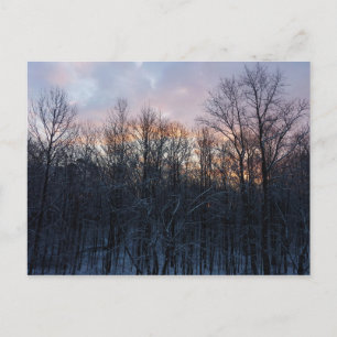 Winter Sunrise I Pastel Nature Ligcape Vykort