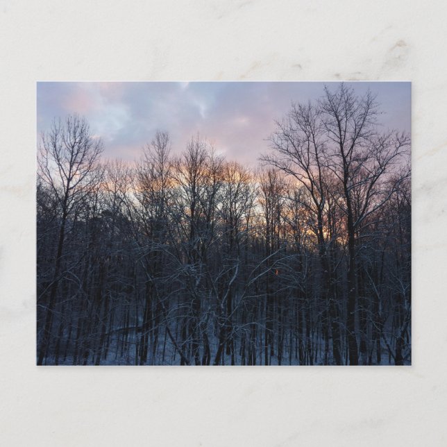 Winter Sunrise I Pastel Nature Ligcape Vykort (Framsida)