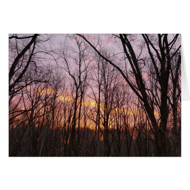 Winter Sunrise II Hälsningskort (Framsidan Horizontal)
