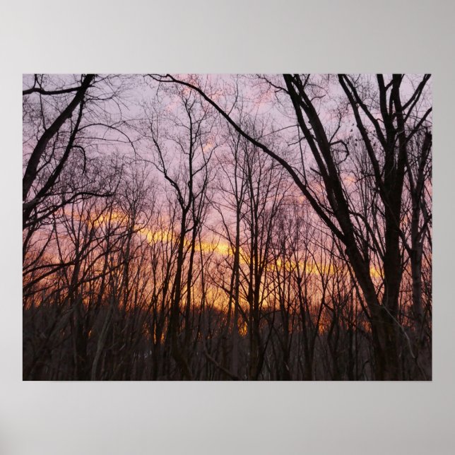 Winter Sunrise II Poster (Framsidan)