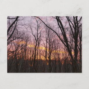 Winter Sunrise II Vykort