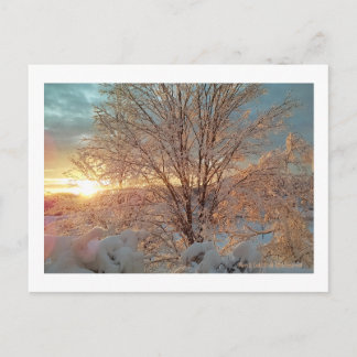 Winter Sunrise Vykort