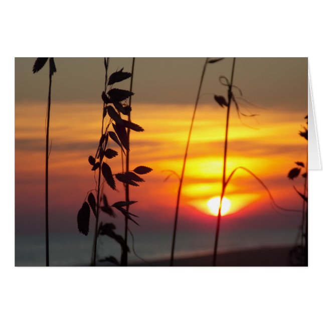 Winter Sunset Hälsningskort (Framsidan Horizontal)