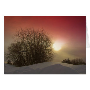 Winter Sunset Hälsningskort