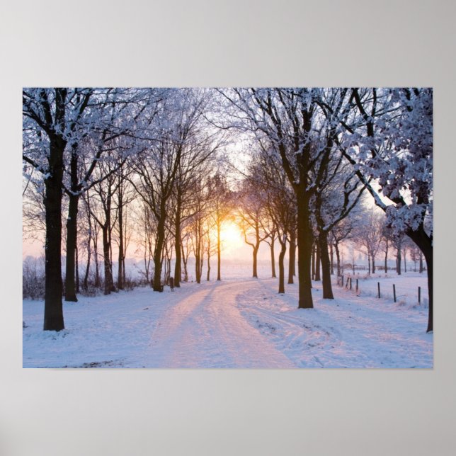 Winter Sunset Poster (Framsidan)