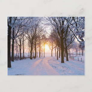 Winter Sunset Vykort