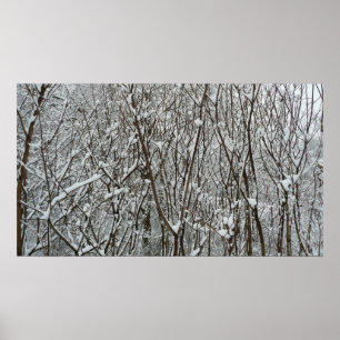 Winter-täckt Grenar Poster