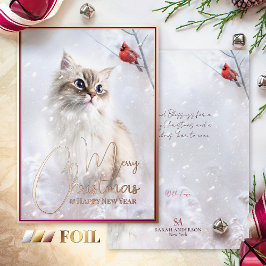 Winter Tales, Kitten & Red Cardinal Bird i Snö -