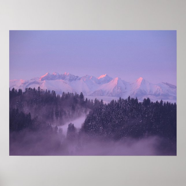 Winter Tatras-vy Poster (Framsidan)