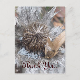 Winter Thistle-Tack-kort Vykort