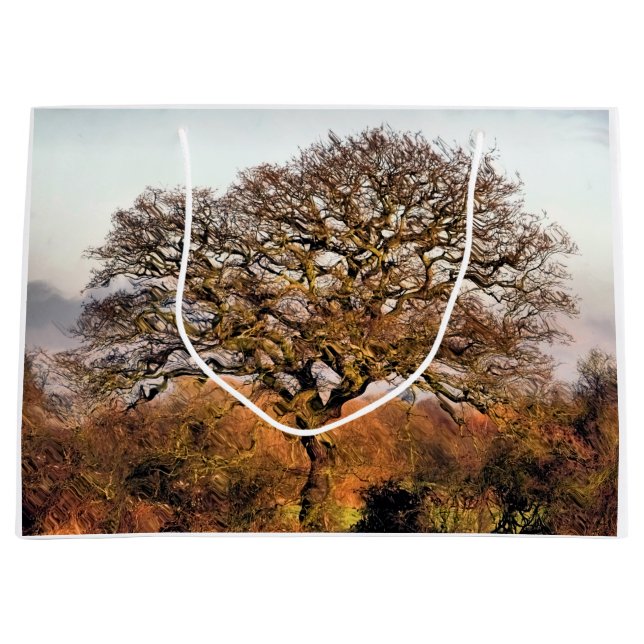 WINTER TRÄD (Framsidan)