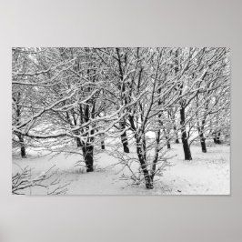 Winter Träd 16 x 11 Poster