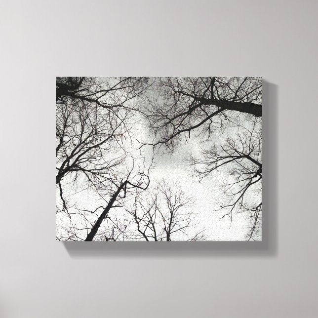 Winter Träd Cloudy Himmel Canvastryck (Framsida)