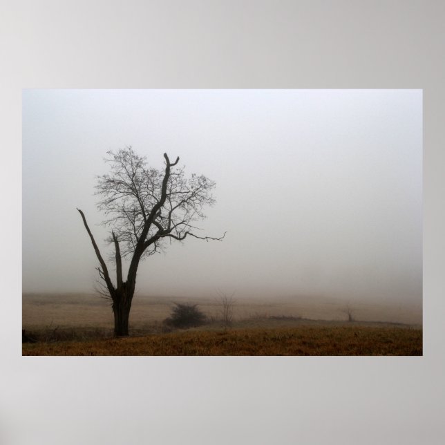 Winter Träd Foggy Meadow Poster (Framsidan)