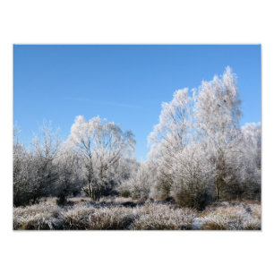 WINTER TRÄD FOTOTRYCK