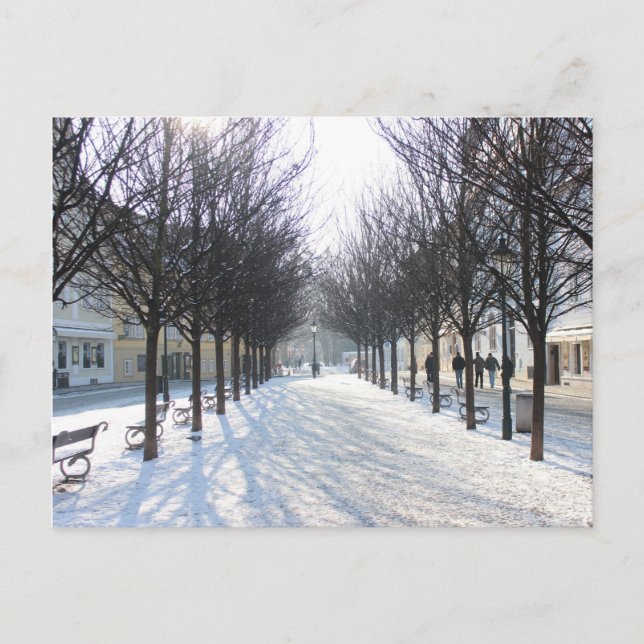 Winter Träd i Prag (Tjeckien) Vykort (Framsida)