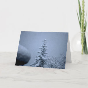 Winter Träd Kort