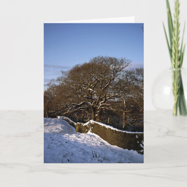 Winter Träd Lyme Handley Cheshire Helgkort (Framsida)