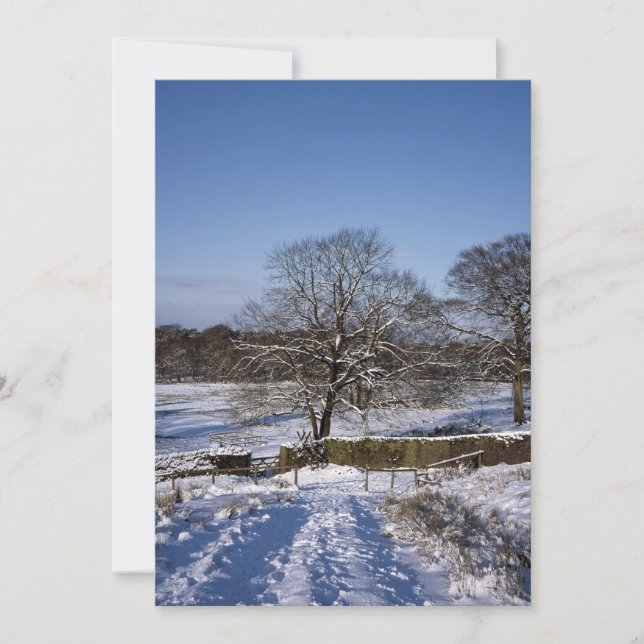 Winter Träd Lyme Park-Helgdag kort (Framsida)