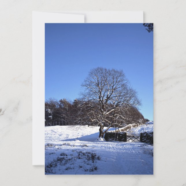Winter Träd Lyme Park-Helgdag kort (Framsida)