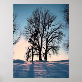 Winter träd på blå himmel-bakgrund med skugga poster