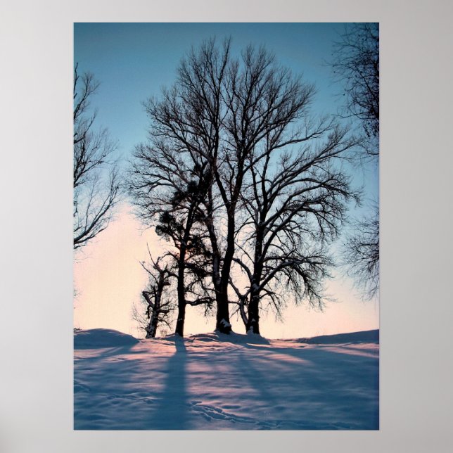 Winter träd på blå himmel-bakgrund med skugga poster (Framsidan)