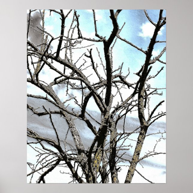 WINTER TRÄD POSTER (Framsidan)