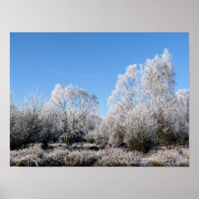WINTER TRÄD POSTER (Framsidan)