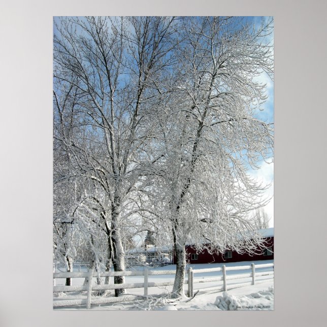 Winter träd poster (Framsidan)