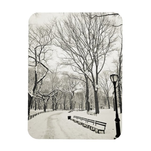 Winter Träd täckt i Snö Magnet (Vertikal)