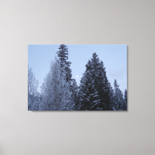 Winter Träd vid Dawn Montana Ligcape Canvastryck