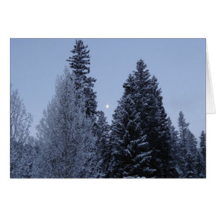 Winter Träd vid Dawn Montana Ligcape Hälsningskort